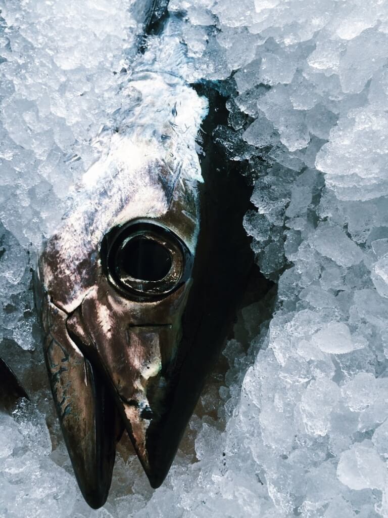 Tuna on ice