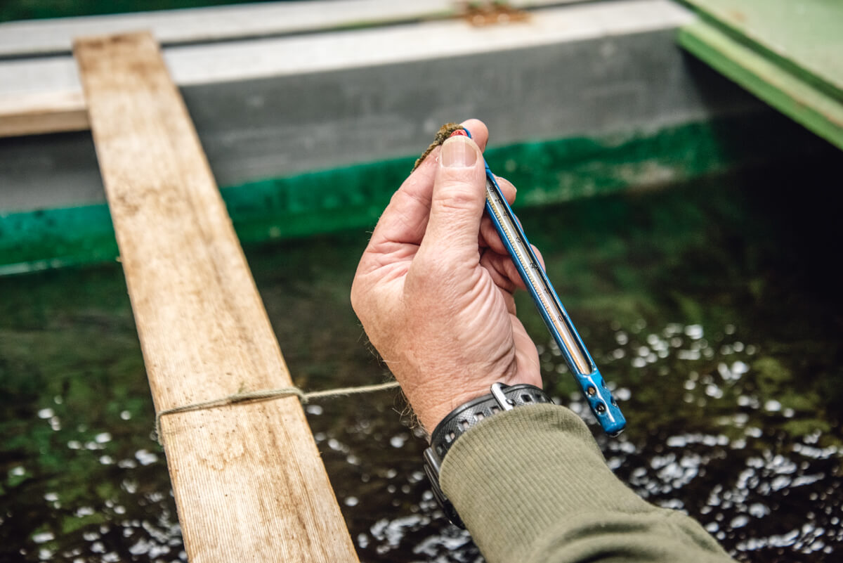 Tofino Fish Hatchery - Thermometer