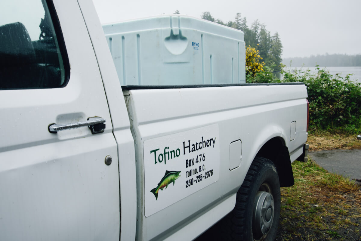 Tofino Fish Hatchery - Truck