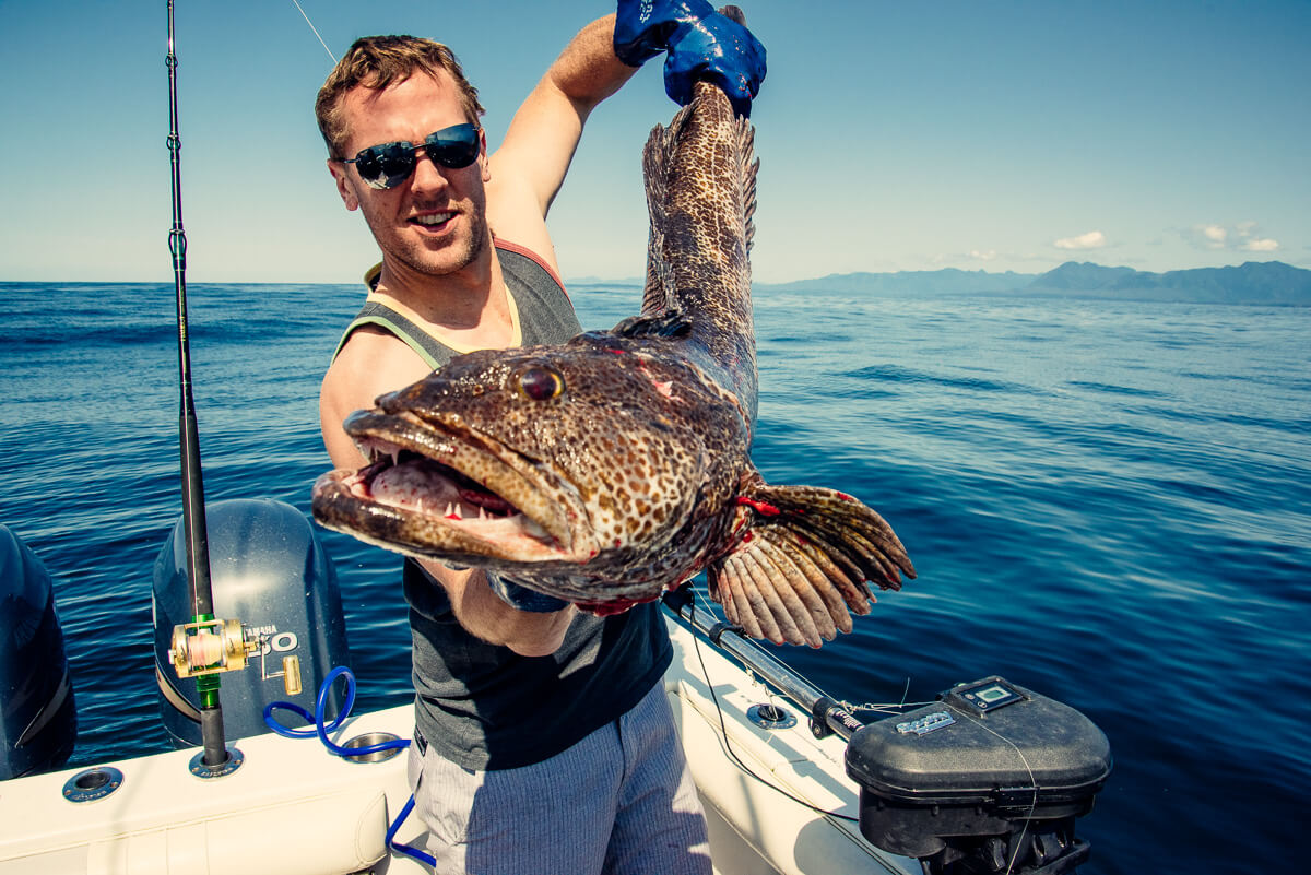 Squid Fishing—Vancouver Island's Emerging Recreational Fishery